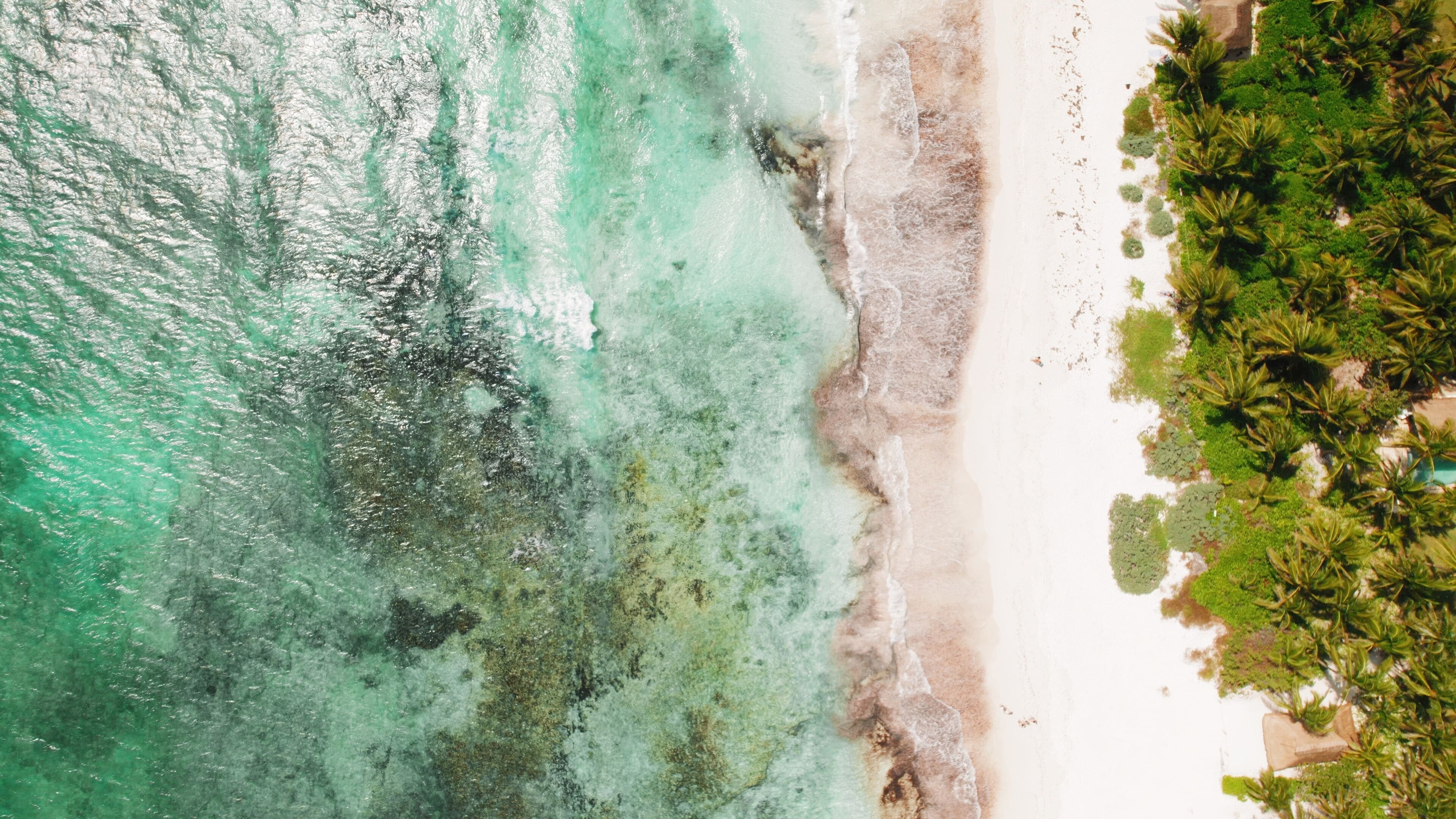 A turquoise ocean, white sandy beach, and dense green foliage.