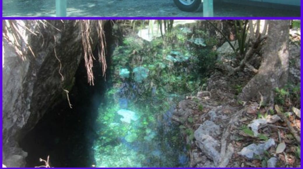 Crystal clear waters. Multiple pools. Sooo refreshing