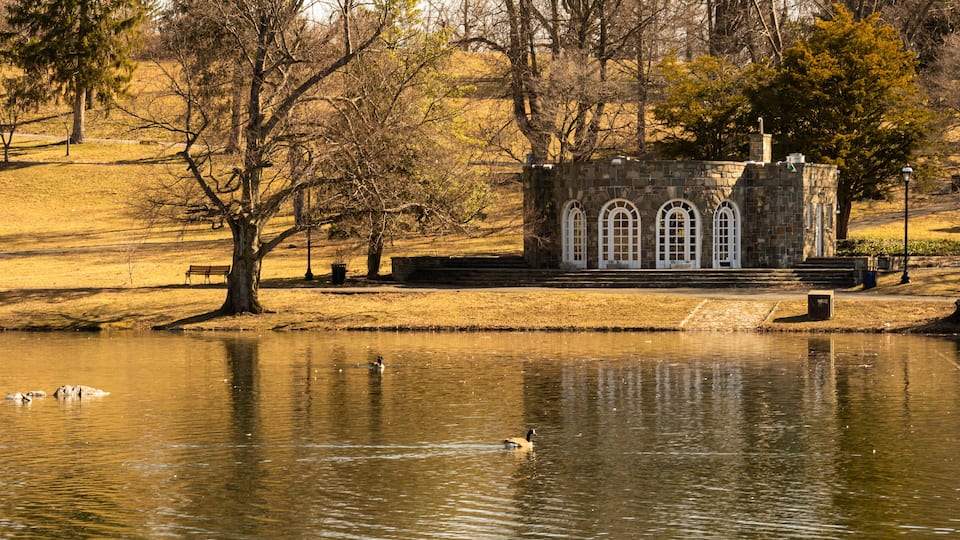 A lake with ducks, a stone building with arched windows, and a bench.