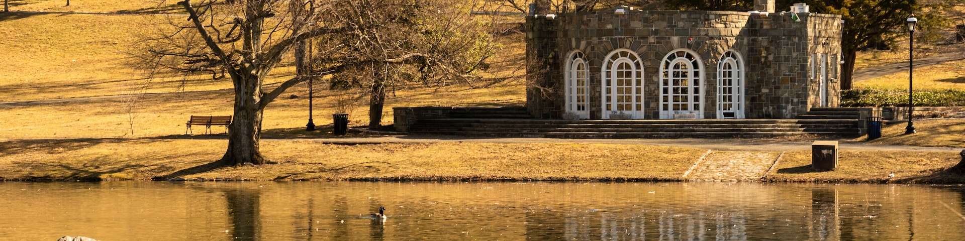 A lake with ducks, a stone building with arched windows, and a bench.