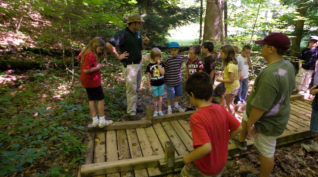 Tri-Cities featuring forest scenes as well as children