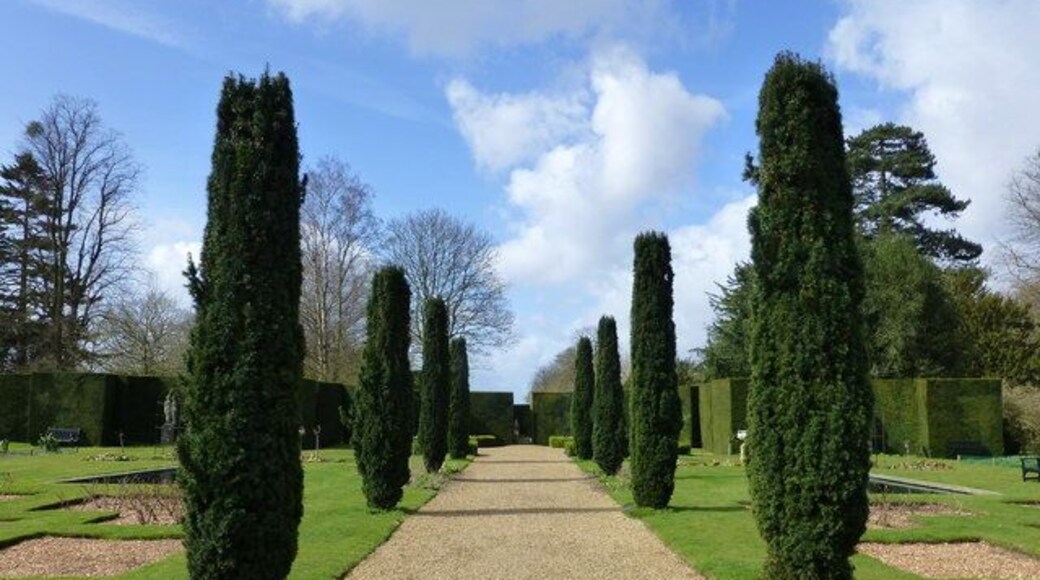 Knebworth Gardens, Hertfordshire. Path leading to the Green Garden beyond the high yew hedges.