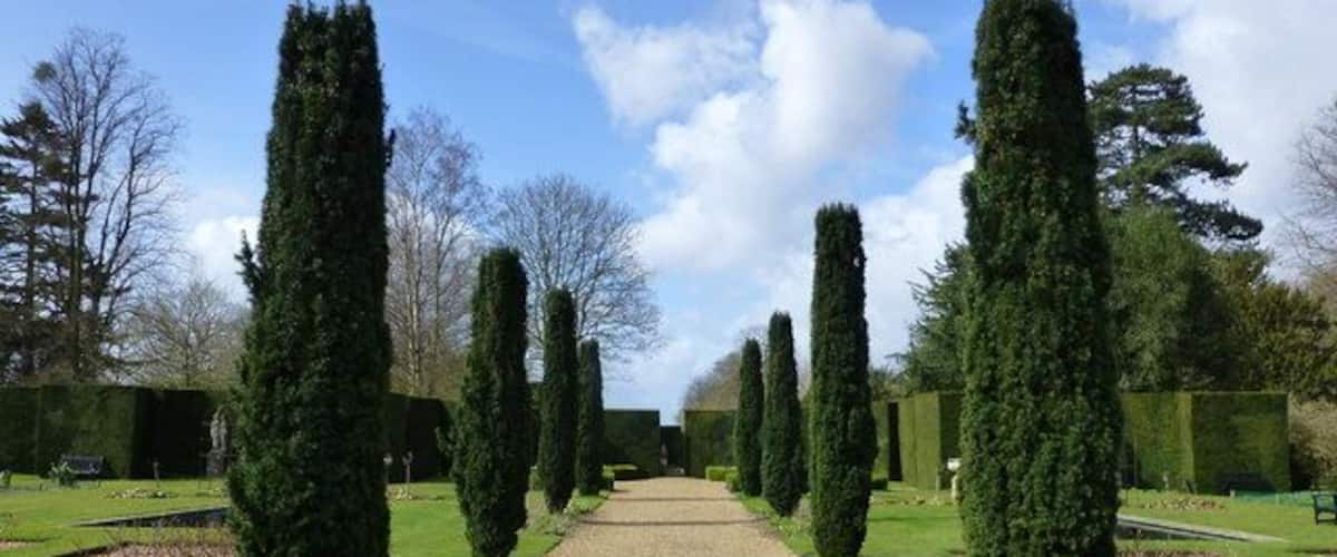Knebworth Gardens, Hertfordshire. Path leading to the Green Garden beyond the high yew hedges.