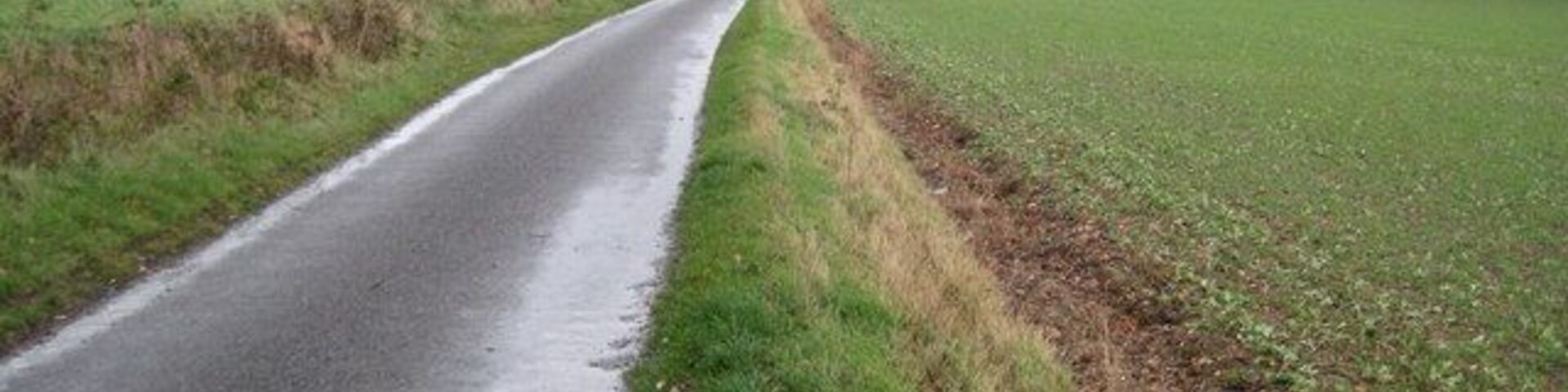 Un camino rural estrecho que serpentea por campos.