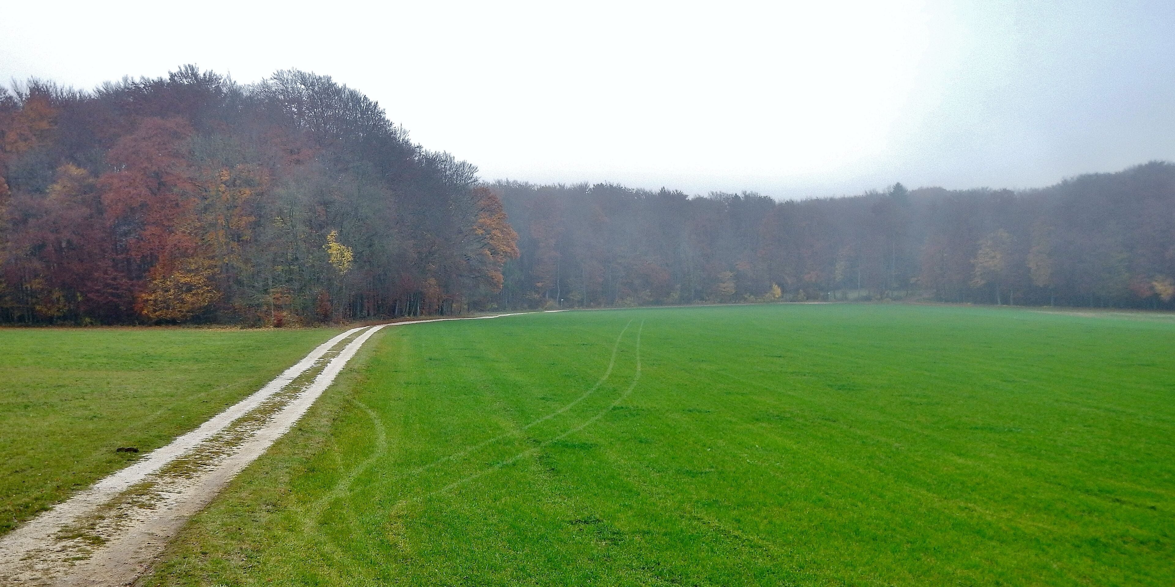 Auf dem Hohenberg, Hirschfels bei Bad Urach