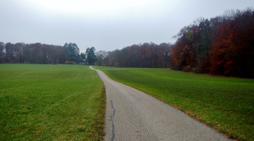 Hochfläche Schanz, Biegel