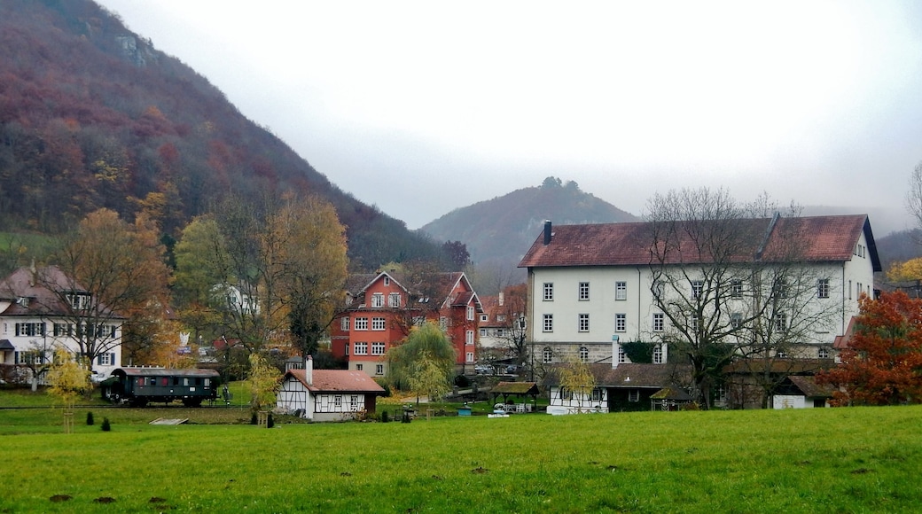 Carl Künkele Kunstmühle und Lokalität: Vom gemütlichen Mahlstüble bis zum weiten Mühlenfestsaal für große Gesellschaften.