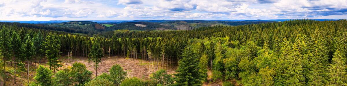 the rothaargebirge mountains and forest in germany panorama