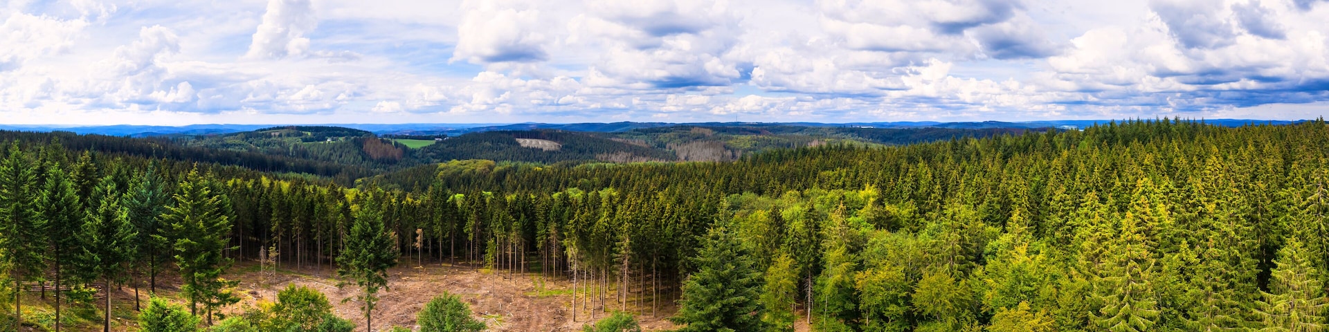 the rothaargebirge mountains and forest in germany panorama