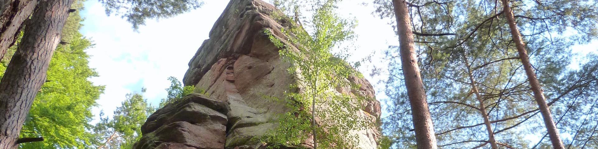 Buntsandsteinfelsen "Hauensteiner Turm", fotografiert am 09.08.2013