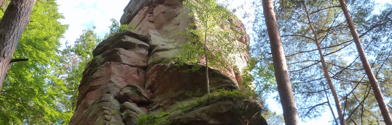 Buntsandsteinfelsen "Hauensteiner Turm", fotografiert am 09.08.2013