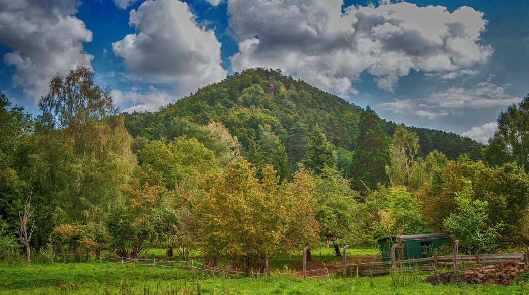 A part of Hauenstein