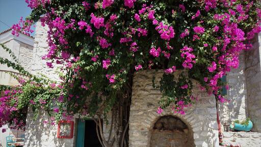 Areopoli is the capital of the Mani in the Peloponnese. It owes its name to the war god Ares. Areopoli Is divided into an old and a new part. Most houses have the recognizable Mani architecture and are built with local rock. The cozy centre has a village square, cobblestone shopping streets and nice bars like this one. #Trovember