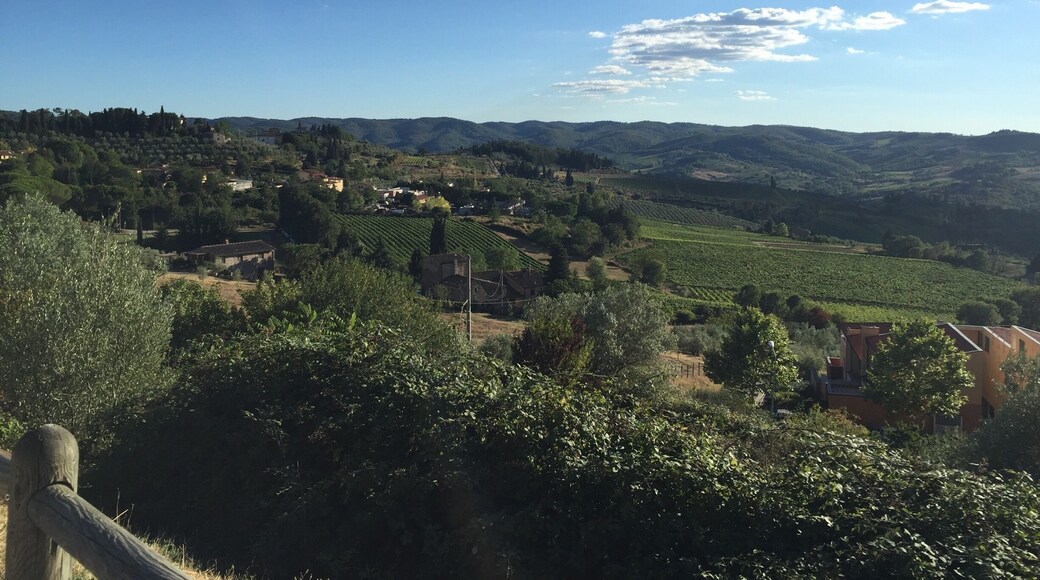 Greve in Chianti. Here you can find very delicious wines! 🇮🇹