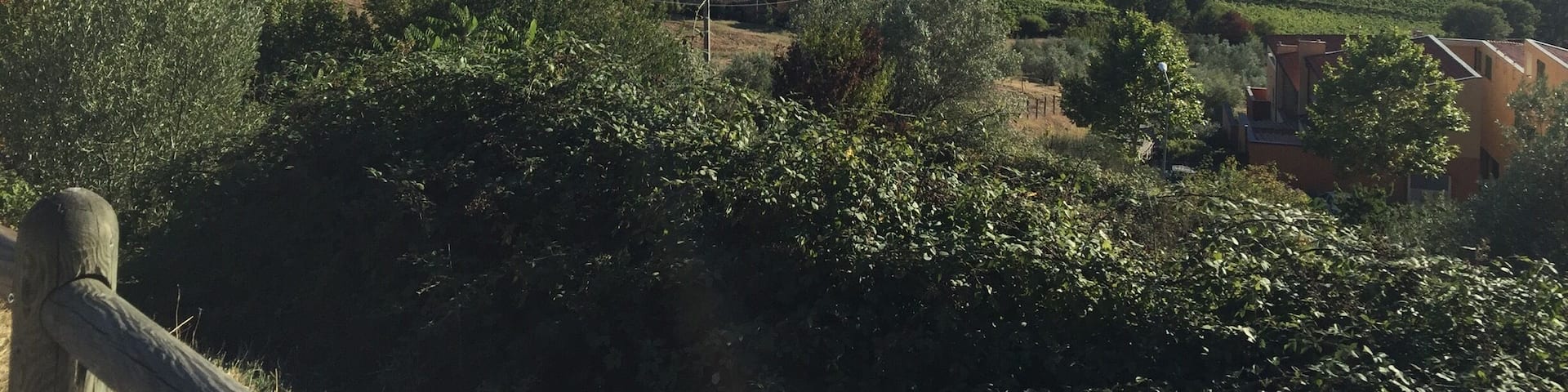 Greve in Chianti. Here you can find very delicious wines! đźđč