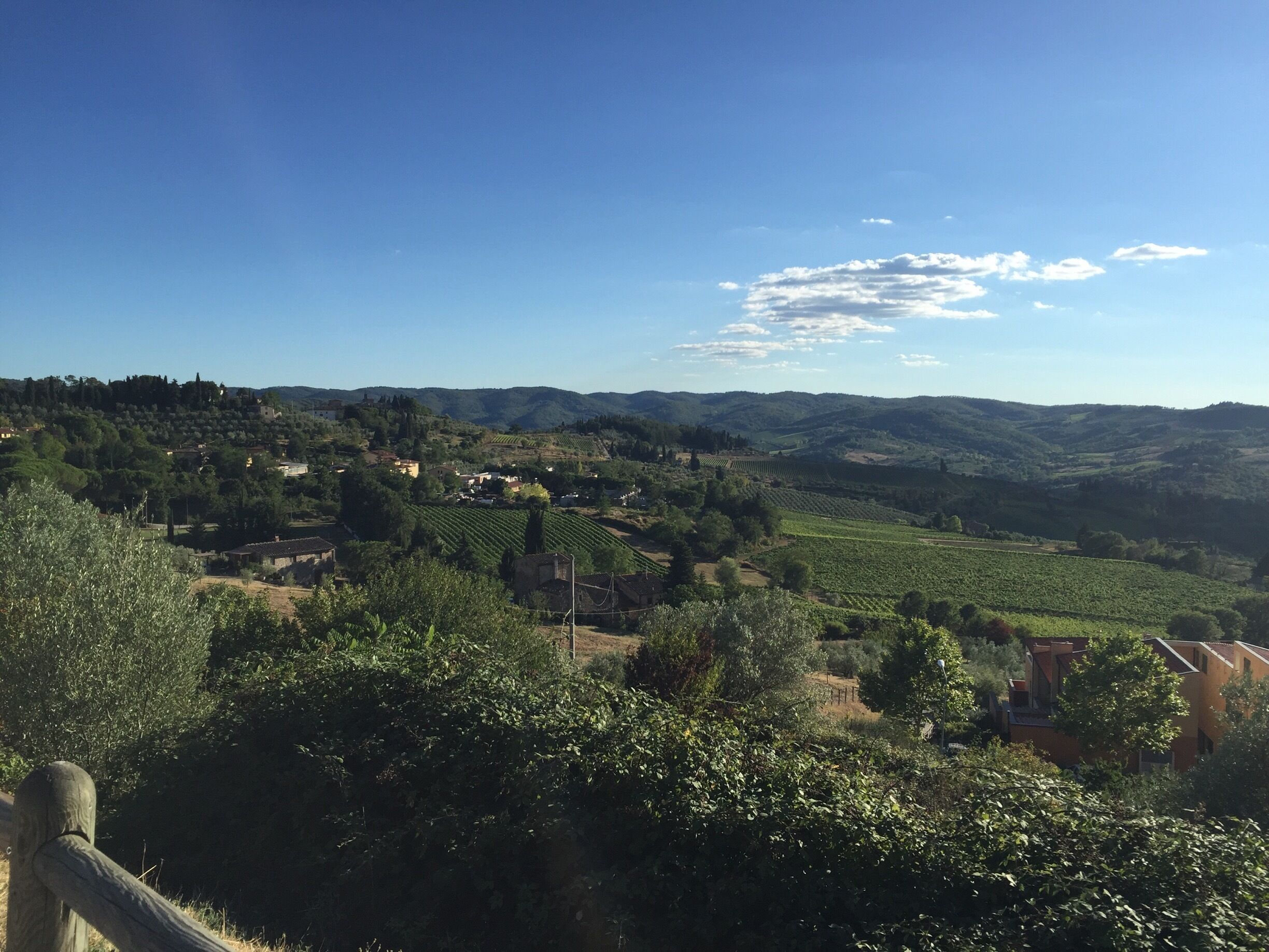 A rural landscape with vineyards, rolling hills, and scattered houses.