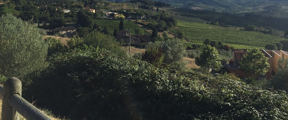 A rural landscape with vineyards, rolling hills, and scattered houses.