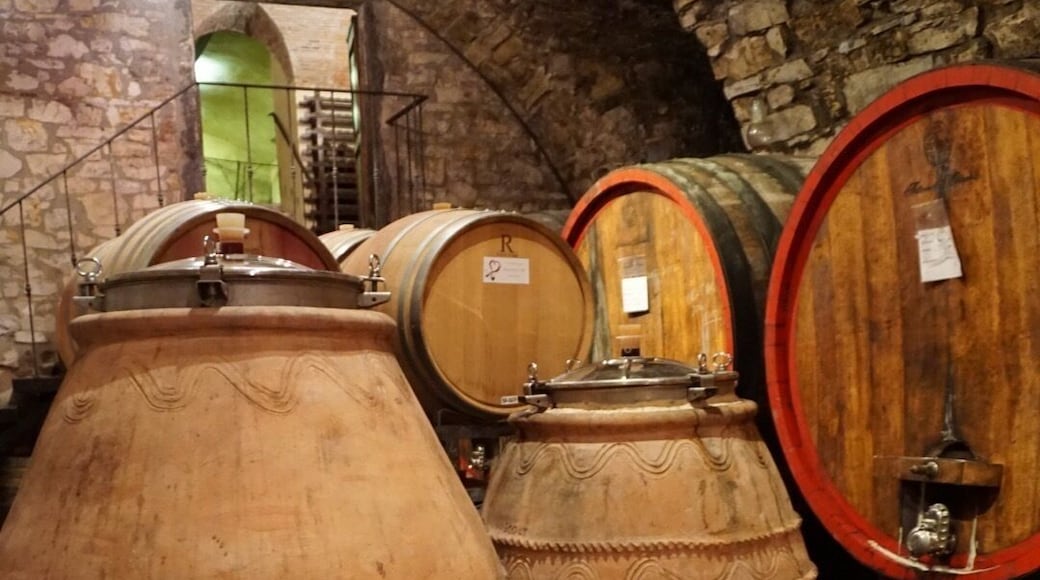 Visited this winery yesterday and bought a bottle of their 2009 Riserva. It's worth a visit especially if you love Chianti. They also make terra cotta pots and barrels as shown in this photo where they age some of their wines.
