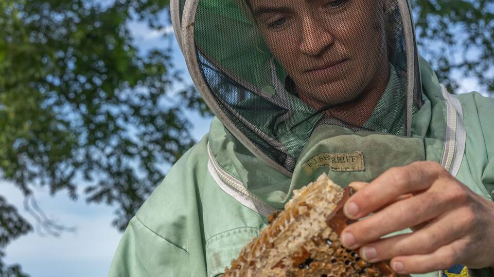 Beekeeper tending to a hive in Georgia