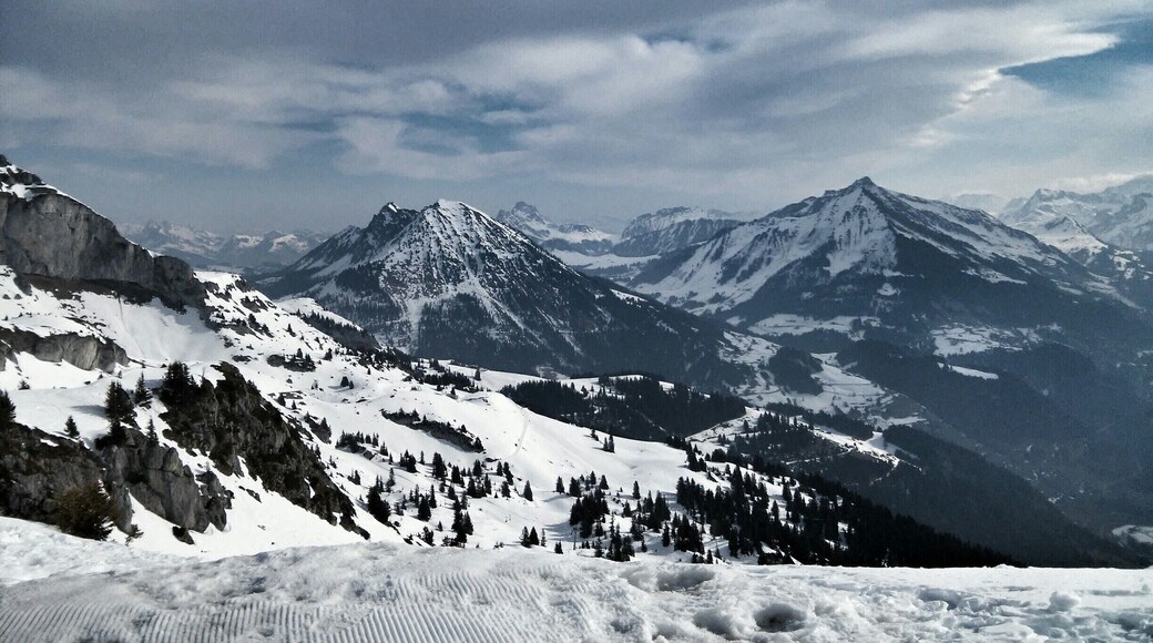 View from La Berneuse mountain,2048 mt high.