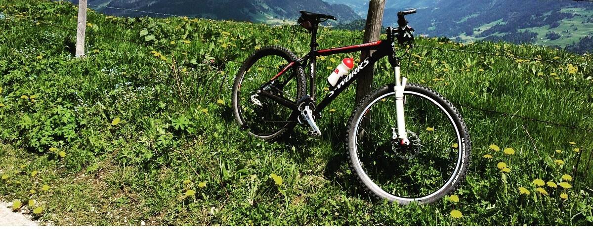 Biked 14 miles in the Alps two hours after getting off my flight! What is jet lag?! ;) 
#leysin #switzerland #europe #wanderlust #thealps