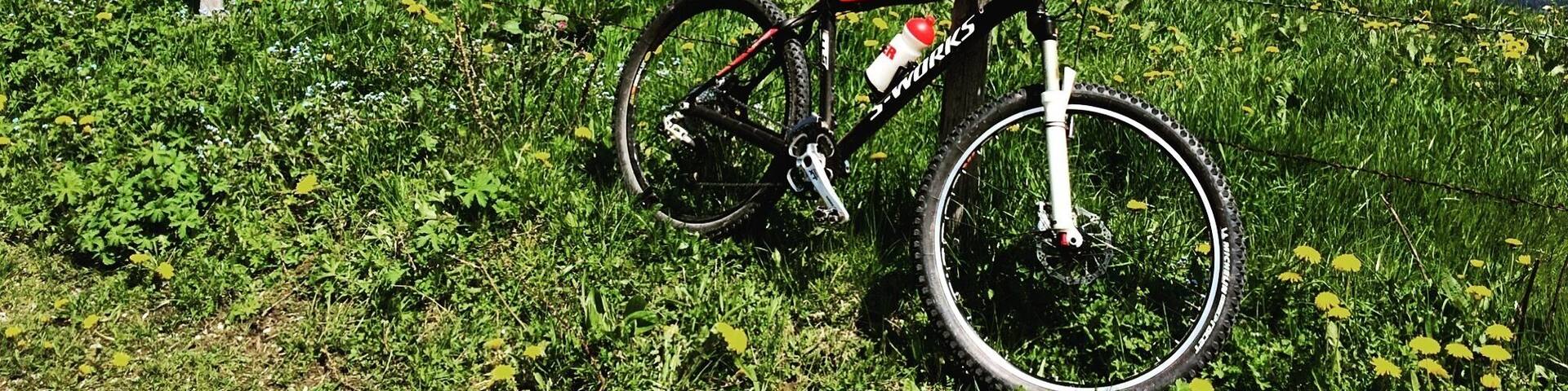 Biked 14 miles in the Alps two hours after getting off my flight! What is jet lag?! ;)
#leysin #switzerland #europe #wanderlust #thealps