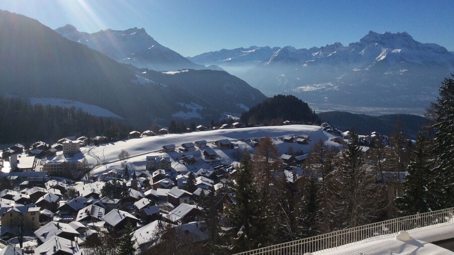 #blue
#bestof5
#winterwonders