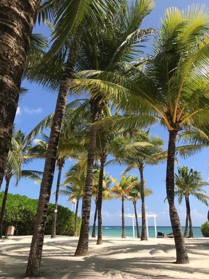 Una hermosa sombra en la playa de los hoteles Palladium.