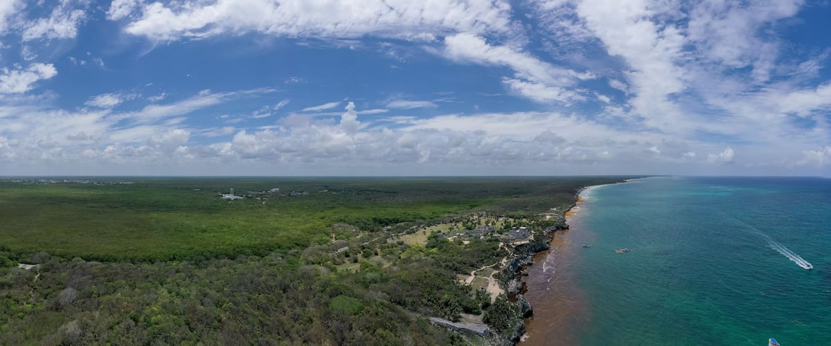 A coastal landscape with a beach, ocean, and a forested area.