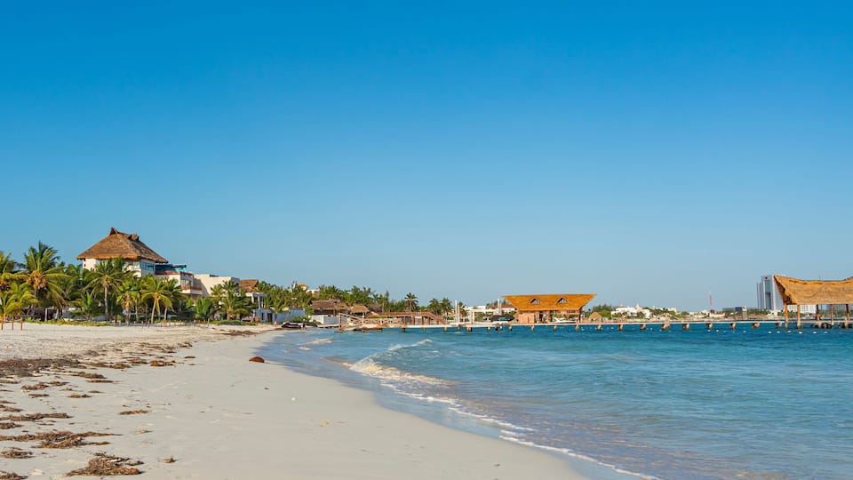 A beach with palm trees, a thatched-roof hut, and a pier extending into the water.