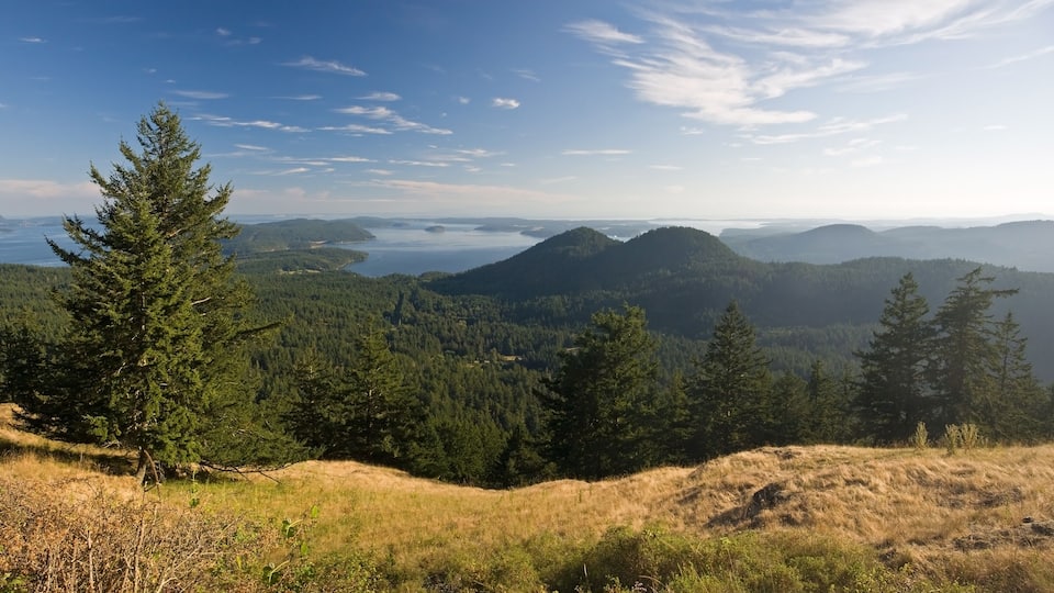 A mountainous landscape with dense forests and a lake in the distance.
