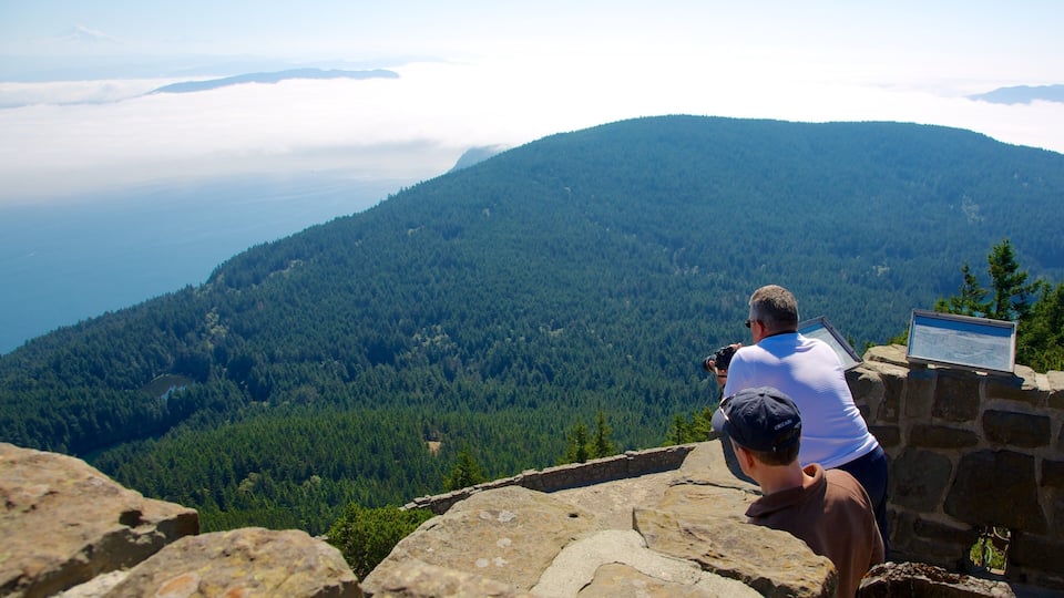 A man taking a photograph of a mountainous landscape with dense forests and a view of the ocean below.