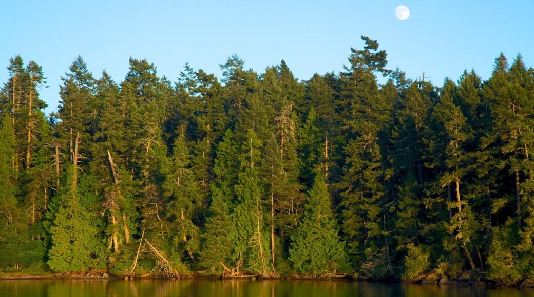 San Juan Islands which includes forest scenes