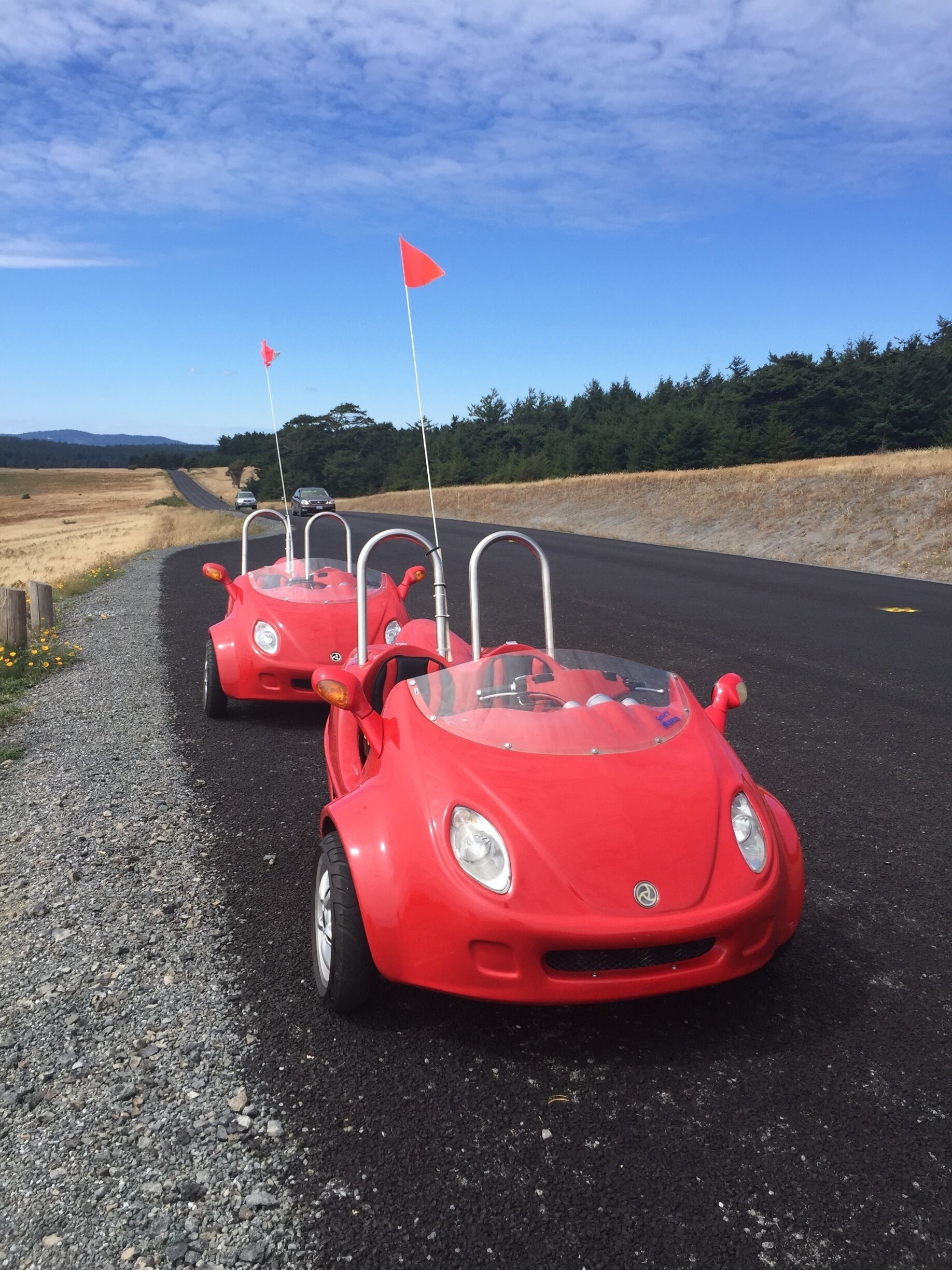 We rented these fun little go-cart cars to tour the island.  It was so much fun!  They gave us a map and pointed out the highlights to explore:  beaches, a lighthouse, a lavender farm, whale watching!  So many things to discover!  