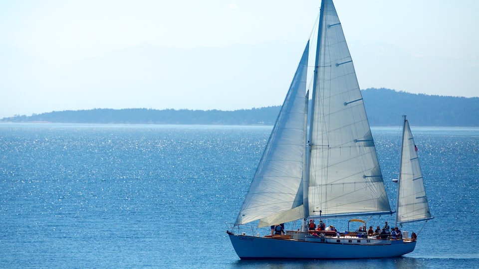 A sailboat named 'CARLYN' on a calm sea with a forested island in the background.