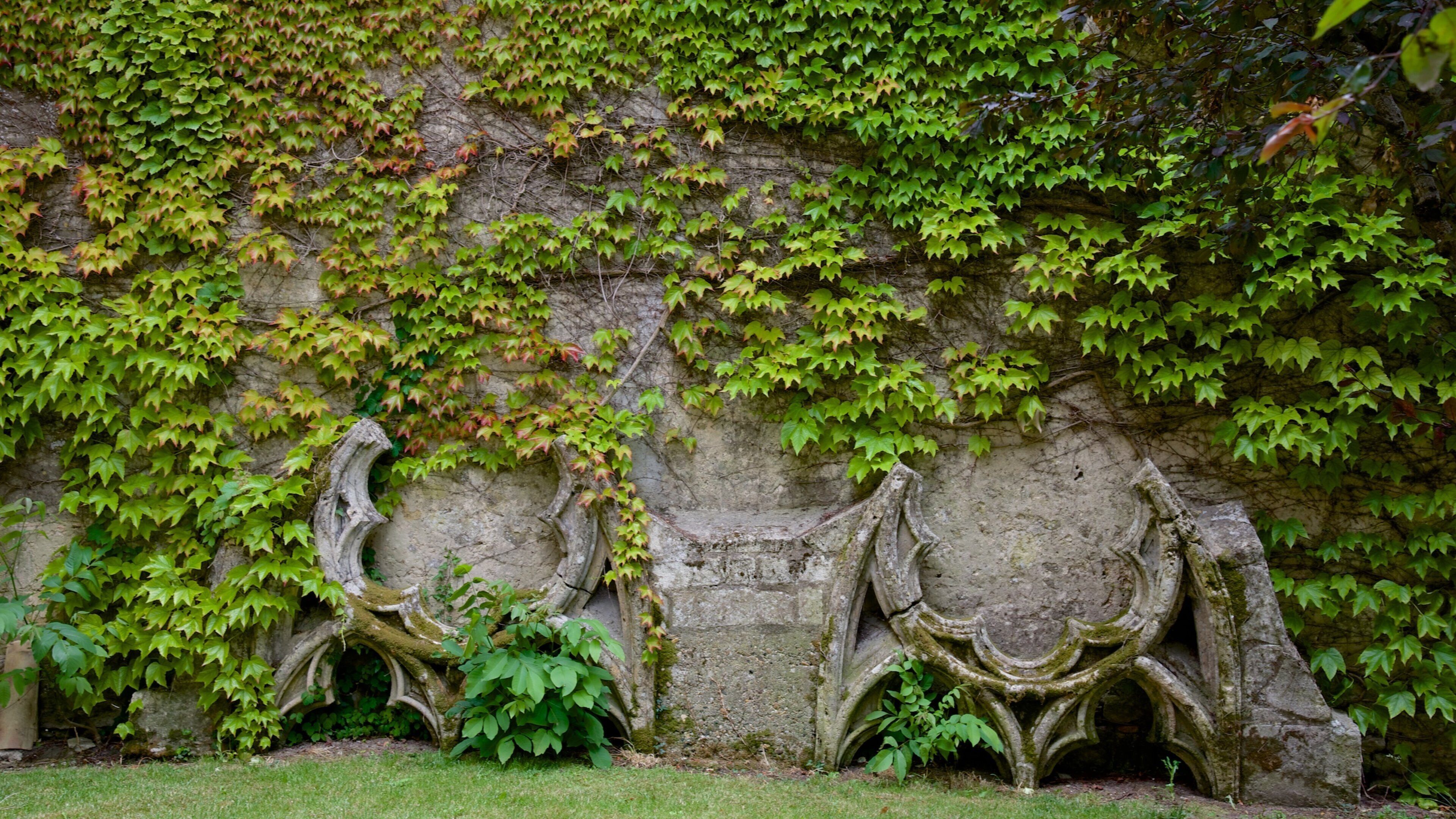 Bazas which includes a garden