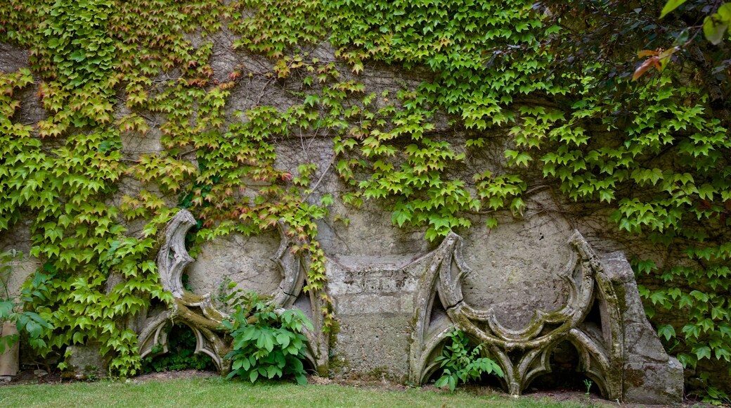 Bazas which includes a garden