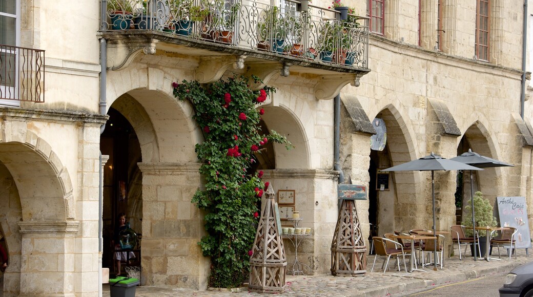 Bazas showing flowers