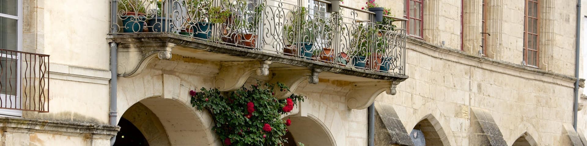 Bazas featuring flowers