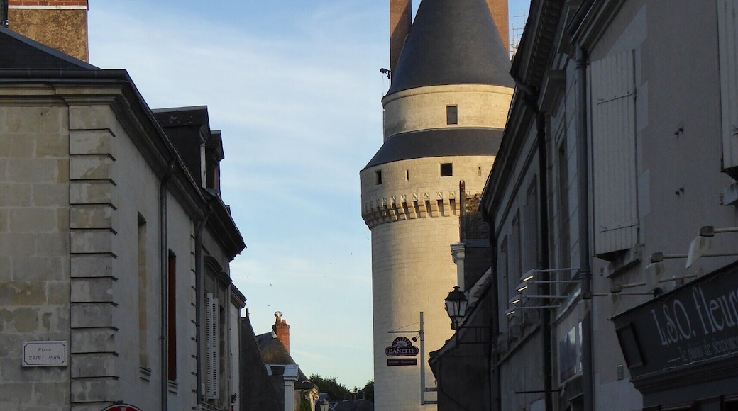 The Loire Valley is famous for its many spectacular large chateaux, but there are also many lovely little towns such as Langeais. It was great to stay in this little quiet little town rather than the huge tourist centres of Blois or Tours.