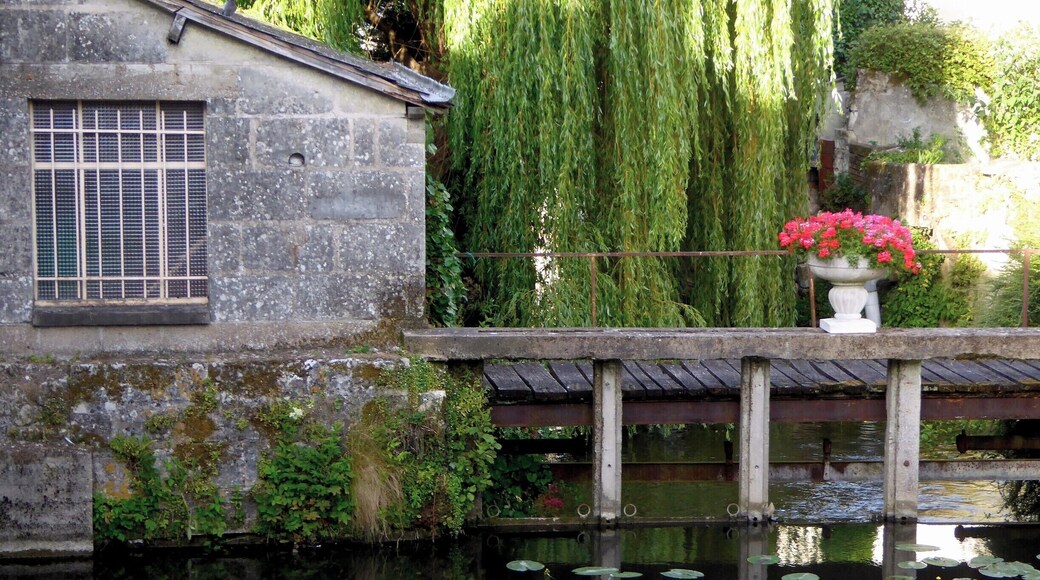The Loire Valley is famous for its many spectacular large chateaux, but there are also many lovely little towns such as Langeais. It was great to stay in this little quiet little town rather than the huge tourist centres of Blois or Tours.