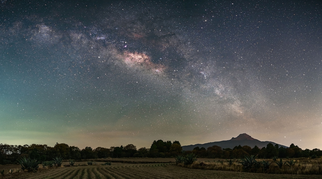 Corn fields at La Malinche volcano