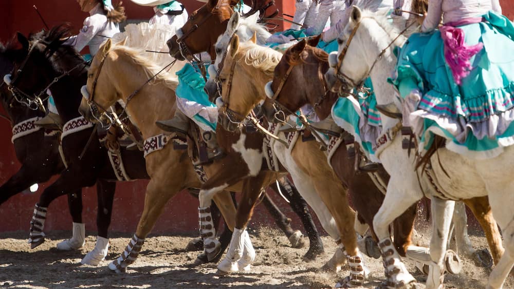 Group of mexican escaramuza girls with mexican dresses and sombrero riding horses in a line formation