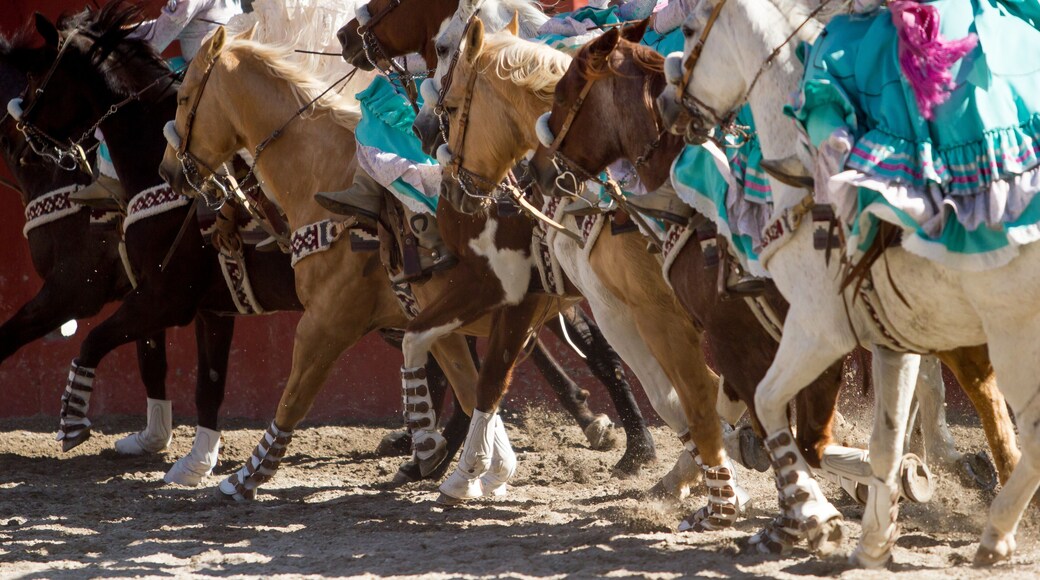 ์ํผ์ฌ์ฝ