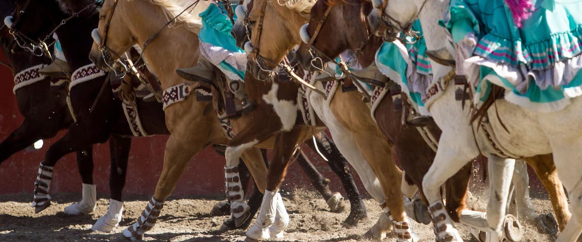 Group of mexican escaramuza girls with mexican dresses and sombrero riding horses in a line formation