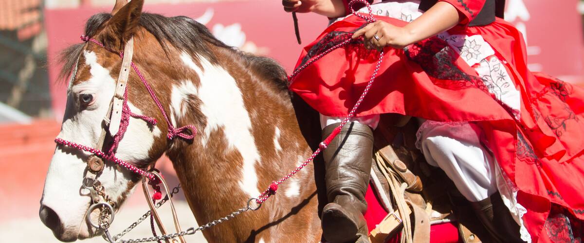 A mexican escaramuza with red dress riding a brown horse