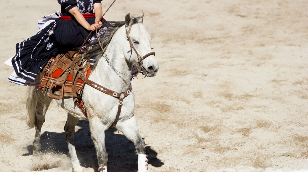 ์ํผ์ฌ์ฝ