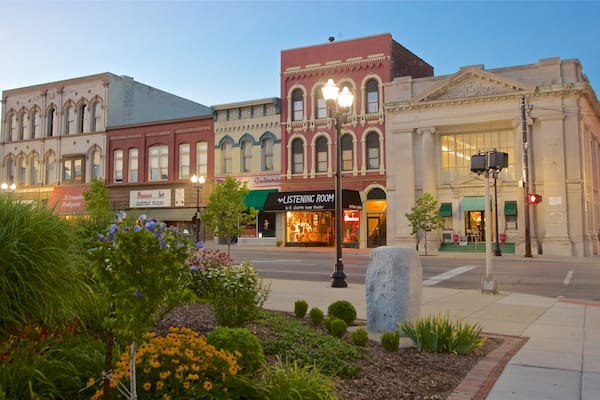 Saginaw featuring flowers and a park