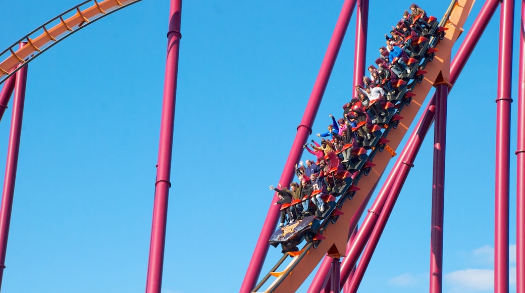 Six Flags Great America toont attracties