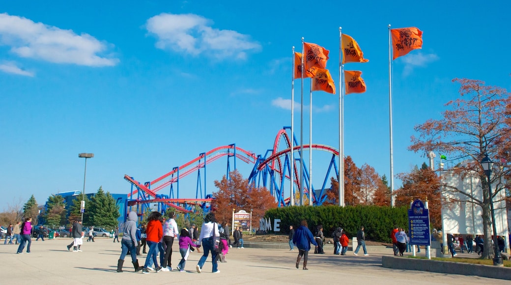 Six Flags Great America which includes rides